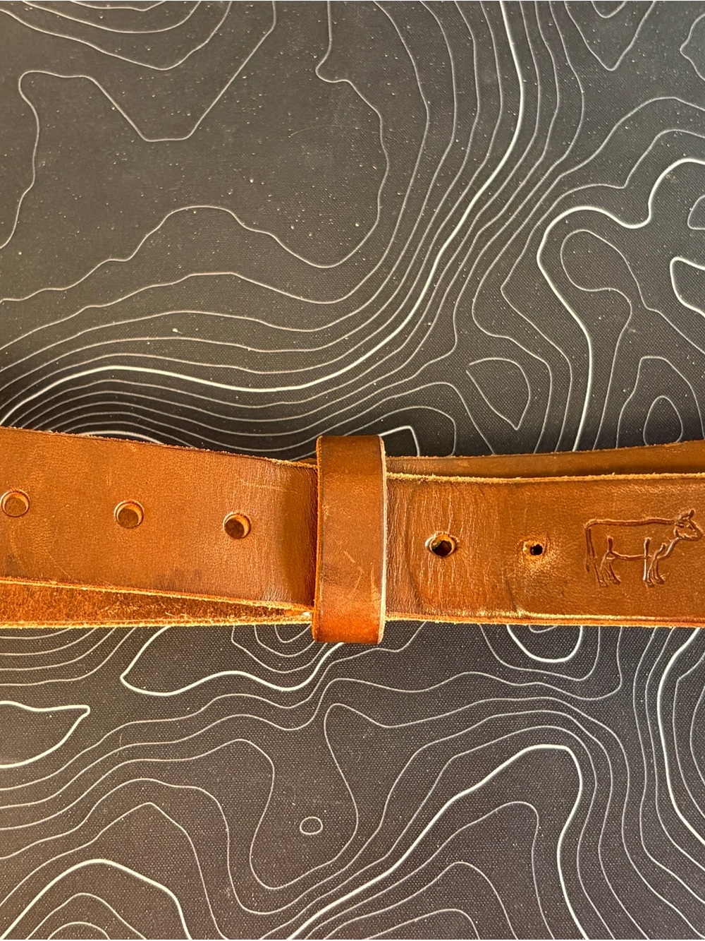 Classic Leather Men's Belt with Embossed Cow Detail